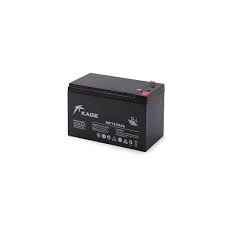 Lead Acid Battery 4V 5.5AH - Beirut ElectroCity