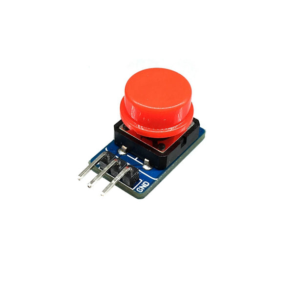 Button Module
With Cap - Beirut ElectroCity